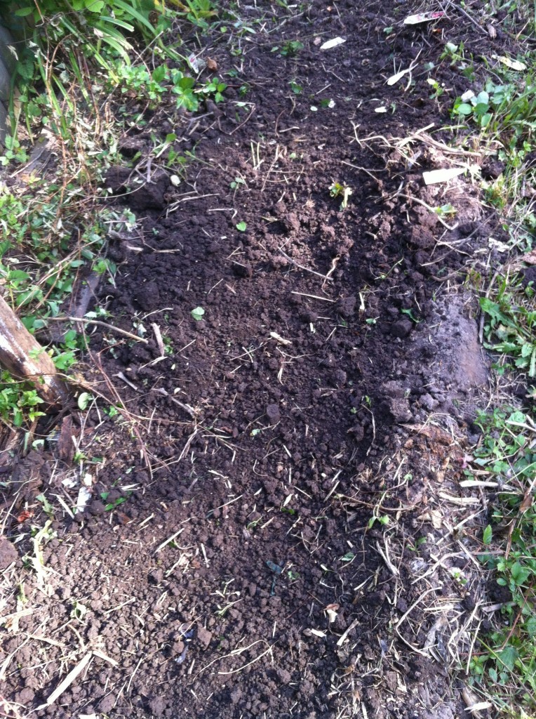 Cultivated Soil
