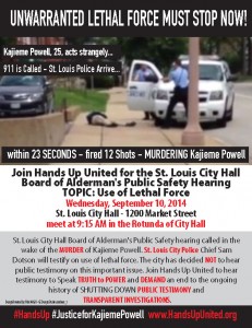 Public Safety Excessive Force Hearing Protest
